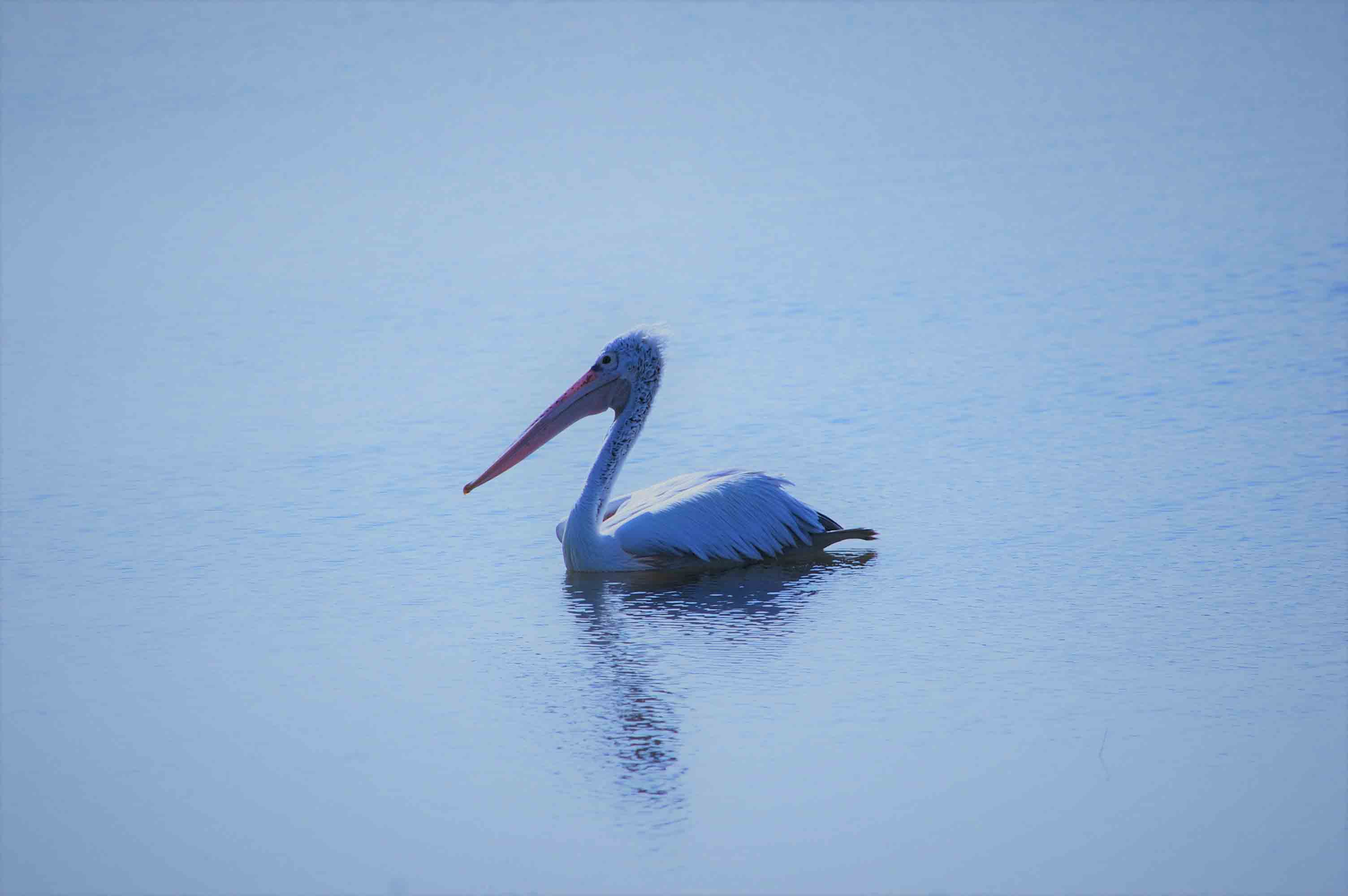  fasd fasd fasd fasd f