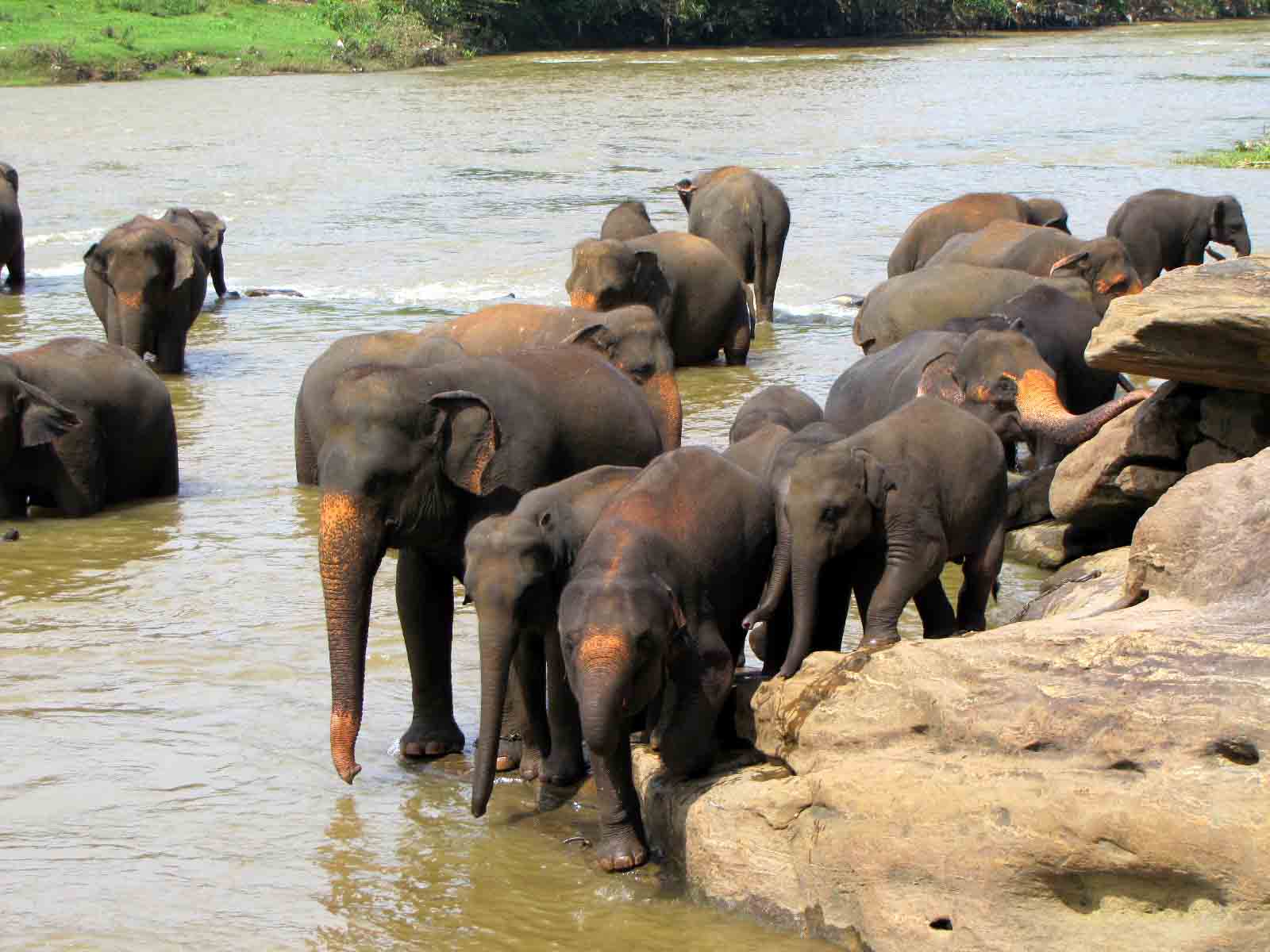  fasd fasd fasd fasd f